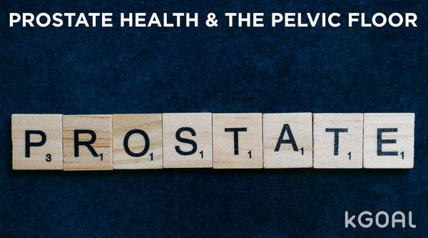 Prostate Health & The Pelvic Floor