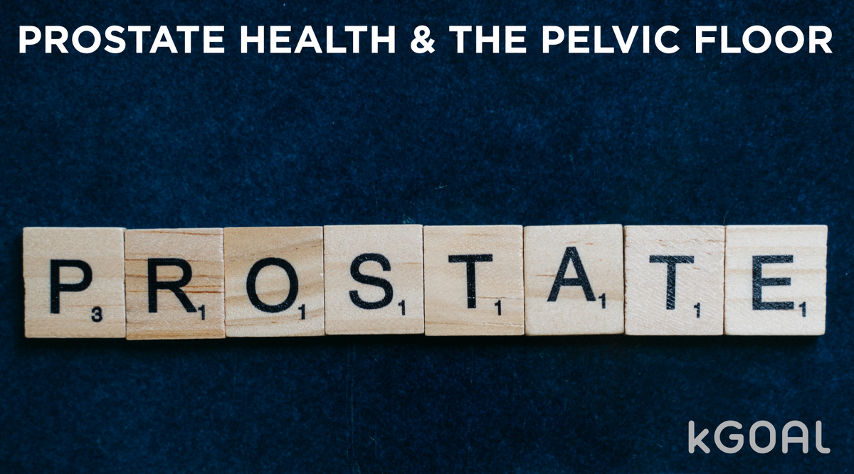 Prostate Health & The Pelvic Floor