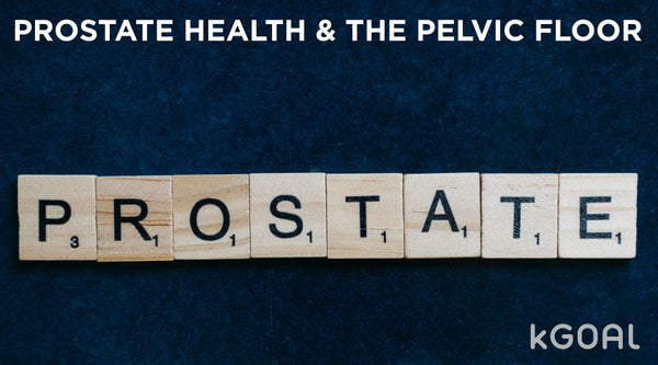 Prostate Health & The Pelvic Floor